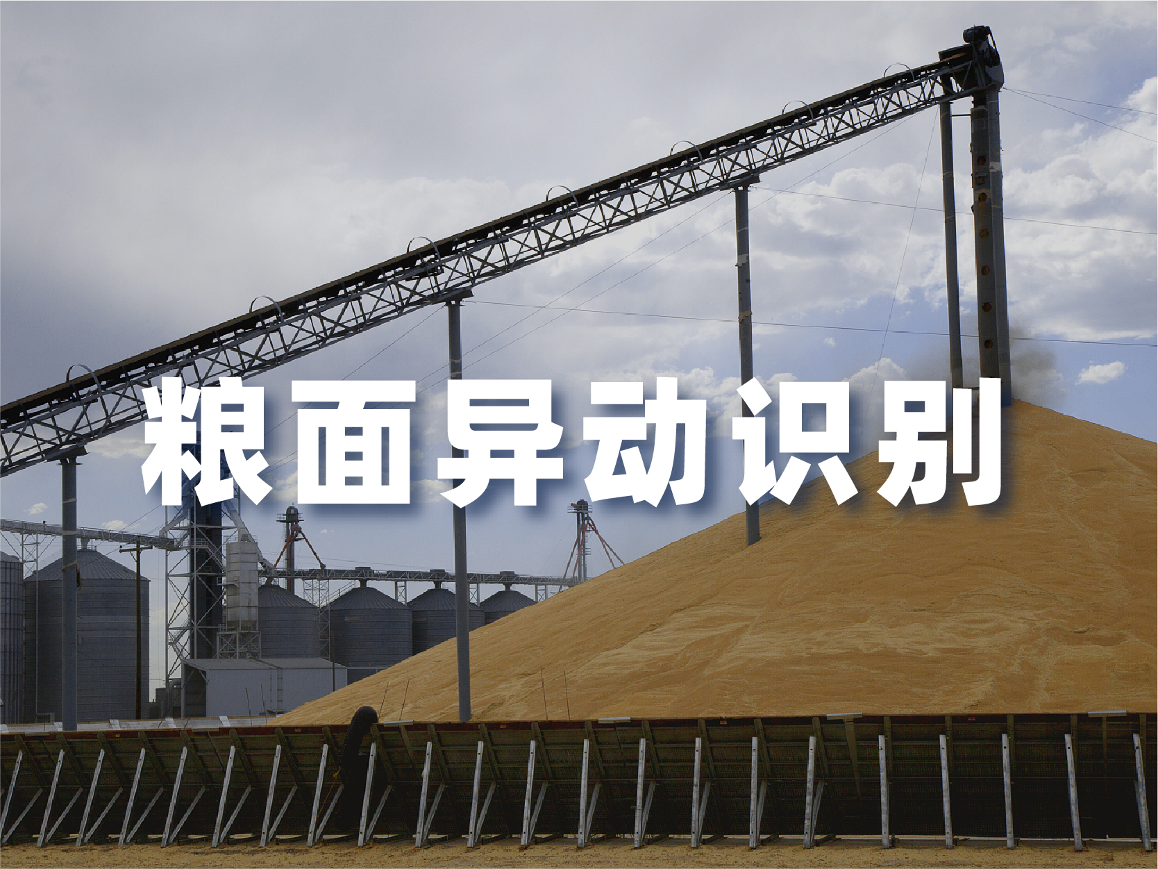 粮仓 (1)(1).jpg
